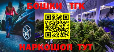 PSILOCYBIN Канаш